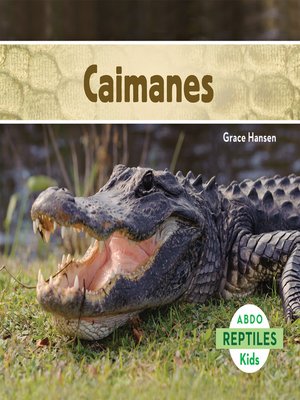 cover image of Caimanes (Alligators) (Spanish Version)